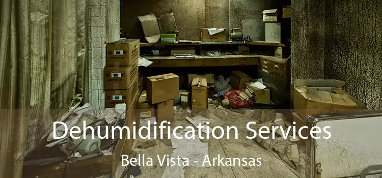 Dehumidification Services Bella Vista - Arkansas