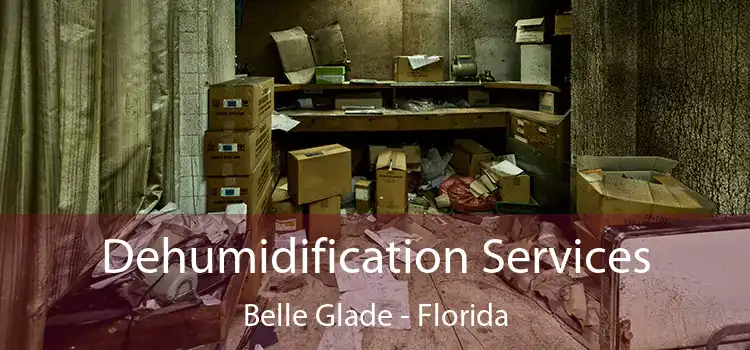 Dehumidification Services Belle Glade - Florida