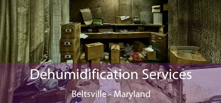 Dehumidification Services Beltsville - Maryland