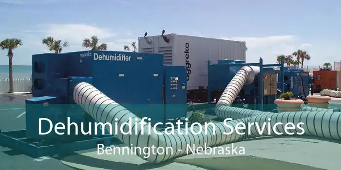 Dehumidification Services Bennington - Nebraska