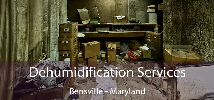 Dehumidification Services Bensville - Maryland