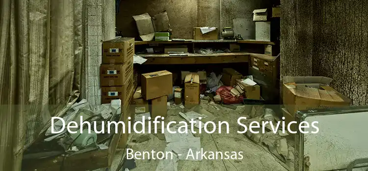 Dehumidification Services Benton - Arkansas