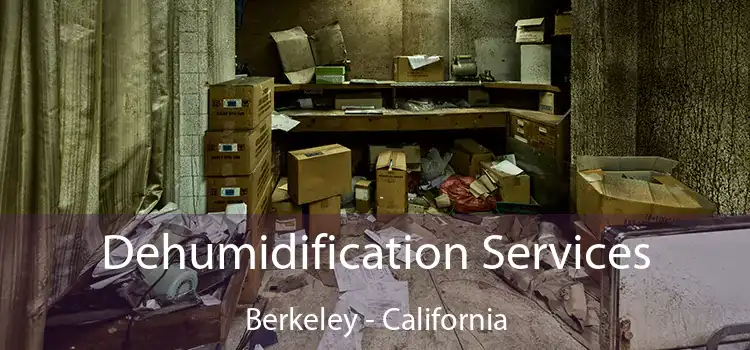 Dehumidification Services Berkeley - California