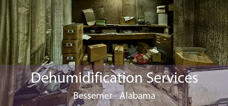 Dehumidification Services Bessemer - Alabama