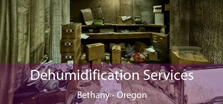 Dehumidification Services Bethany - Oregon