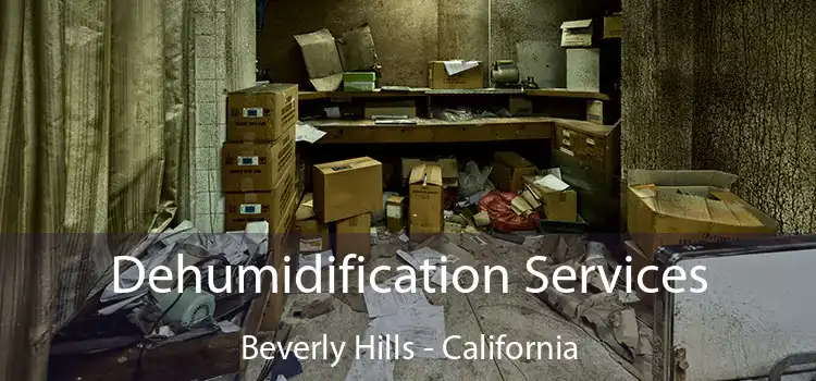 Dehumidification Services Beverly Hills - California