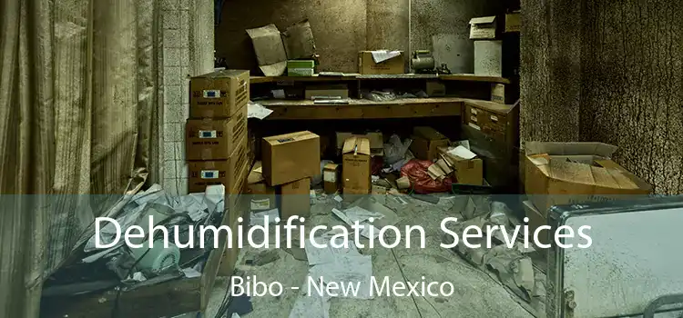 Dehumidification Services Bibo - New Mexico