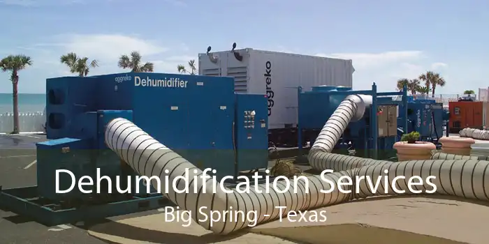 Dehumidification Services Big Spring - Texas