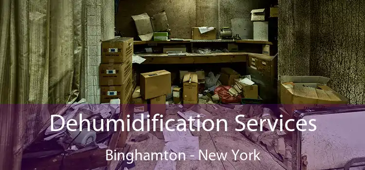 Dehumidification Services Binghamton - New York