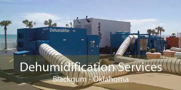 Dehumidification Services Blackgum - Oklahoma