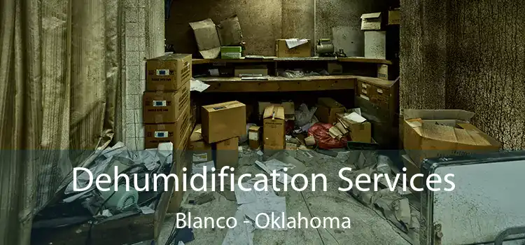 Dehumidification Services Blanco - Oklahoma