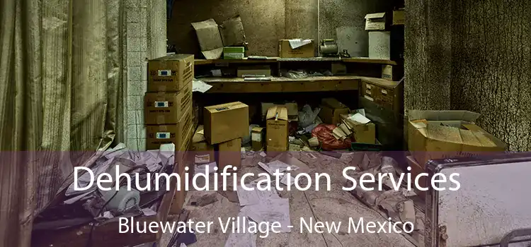 Dehumidification Services Bluewater Village - New Mexico