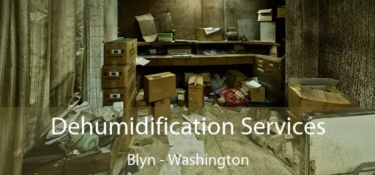 Dehumidification Services Blyn - Washington