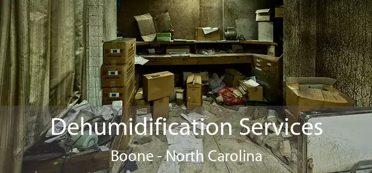 Dehumidification Services Boone - North Carolina