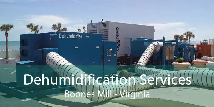 Dehumidification Services Boones Mill - Virginia