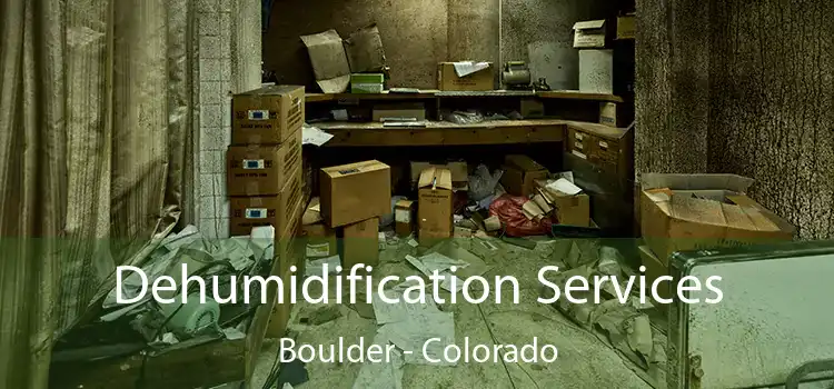 Dehumidification Services Boulder - Colorado