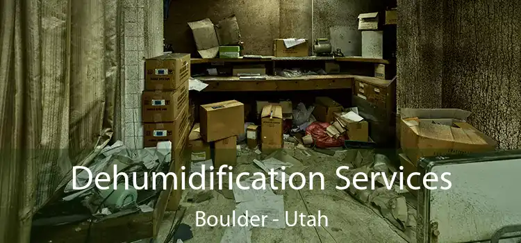 Dehumidification Services Boulder - Utah