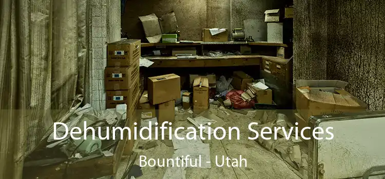 Dehumidification Services Bountiful - Utah