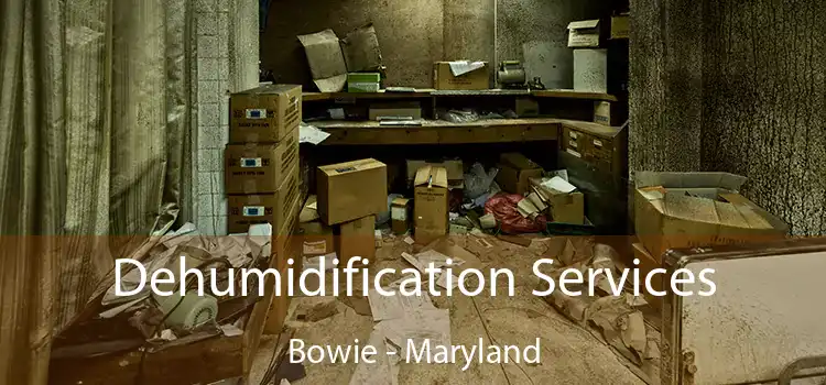 Dehumidification Services Bowie - Maryland