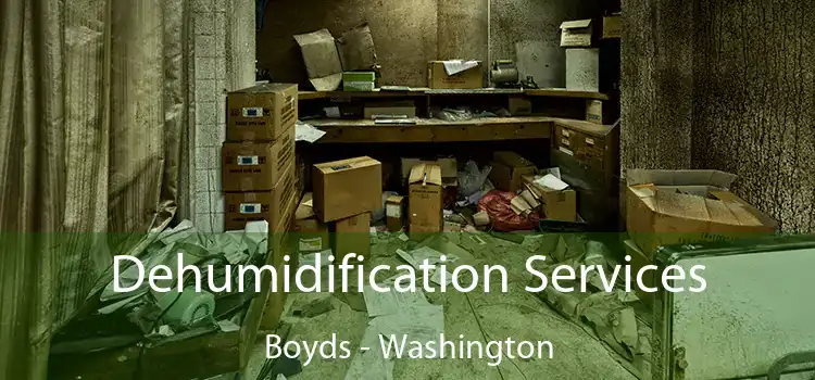 Dehumidification Services Boyds - Washington