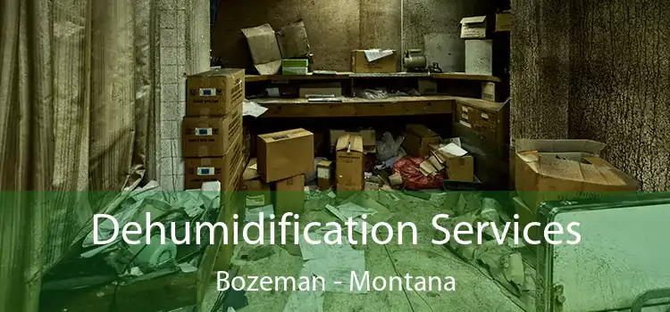 Dehumidification Services Bozeman - Montana