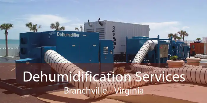 Dehumidification Services Branchville - Virginia