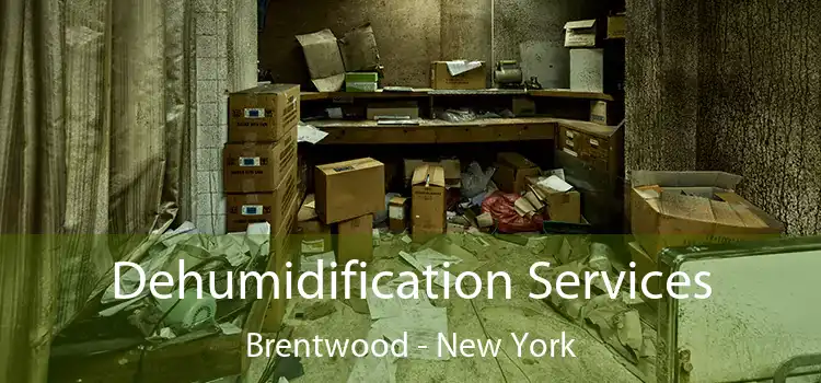 Dehumidification Services Brentwood - New York