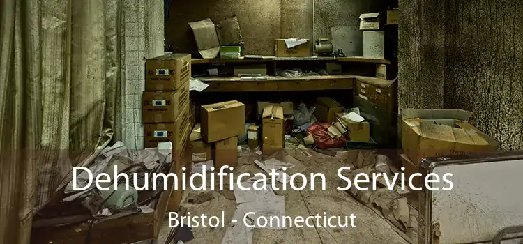 Dehumidification Services Bristol - Connecticut