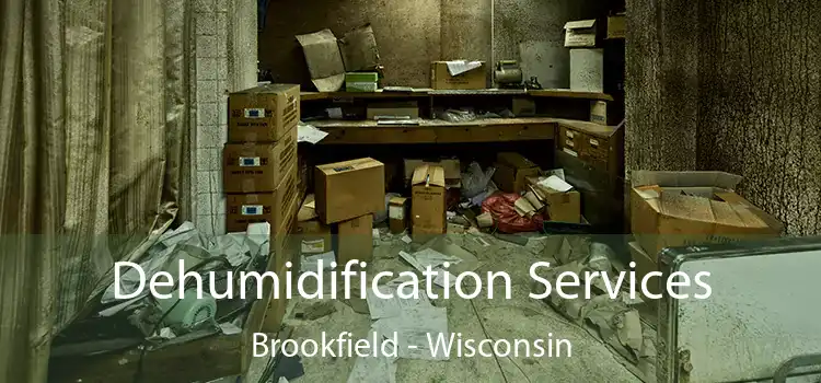 Dehumidification Services Brookfield - Wisconsin