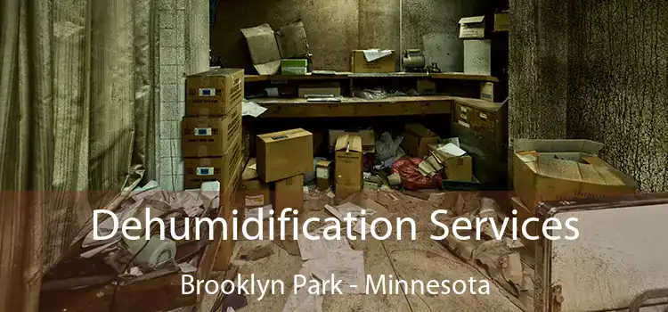 Dehumidification Services Brooklyn Park - Minnesota