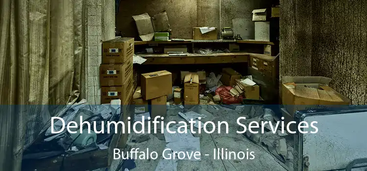 Dehumidification Services Buffalo Grove - Illinois