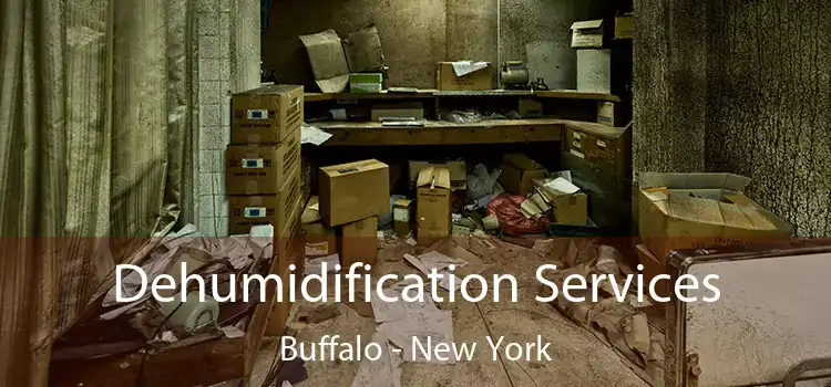 Dehumidification Services Buffalo - New York