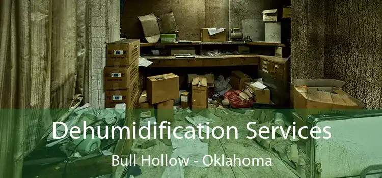 Dehumidification Services Bull Hollow - Oklahoma