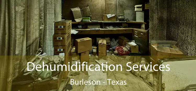 Dehumidification Services Burleson - Texas