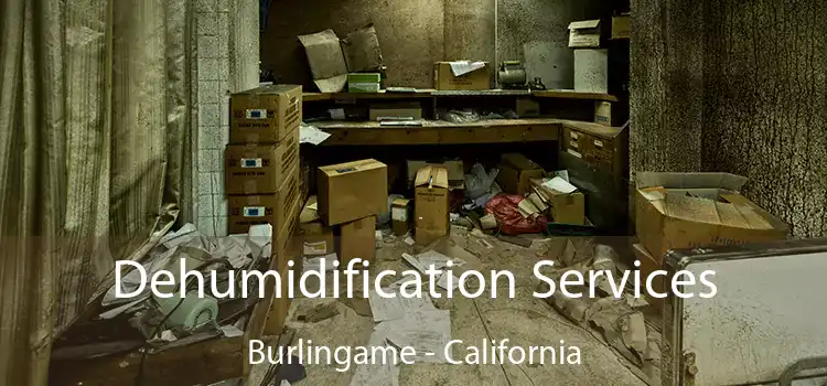 Dehumidification Services Burlingame - California