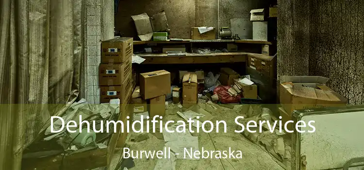 Dehumidification Services Burwell - Nebraska