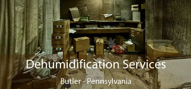 Dehumidification Services Butler - Pennsylvania