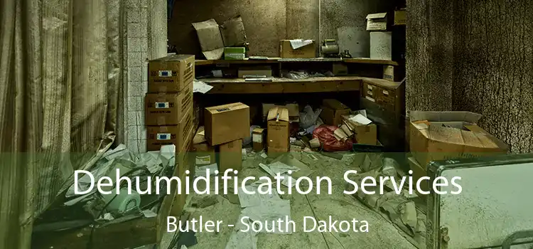 Dehumidification Services Butler - South Dakota