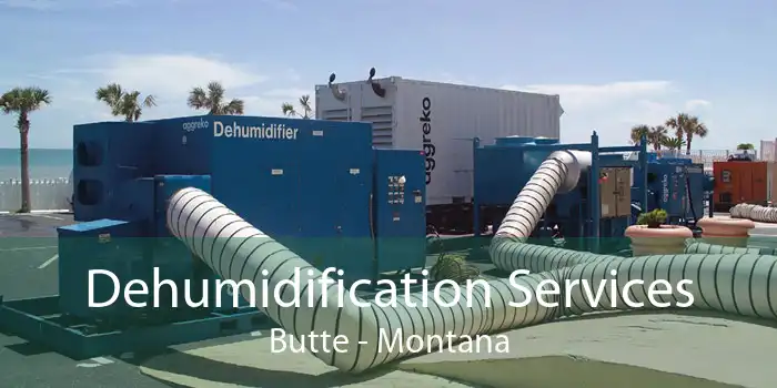 Dehumidification Services Butte - Montana