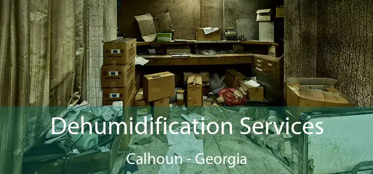 Dehumidification Services Calhoun - Georgia