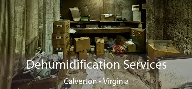 Dehumidification Services Calverton - Virginia