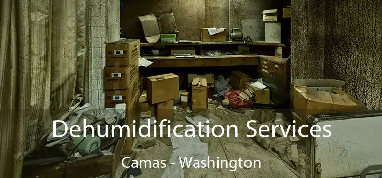 Dehumidification Services Camas - Washington