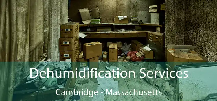 Dehumidification Services Cambridge - Massachusetts