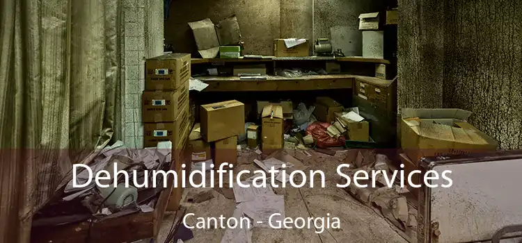 Dehumidification Services Canton - Georgia