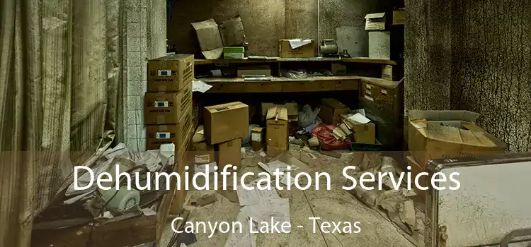 Dehumidification Services Canyon Lake - Texas