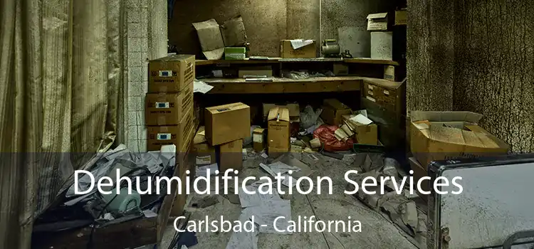 Dehumidification Services Carlsbad - California