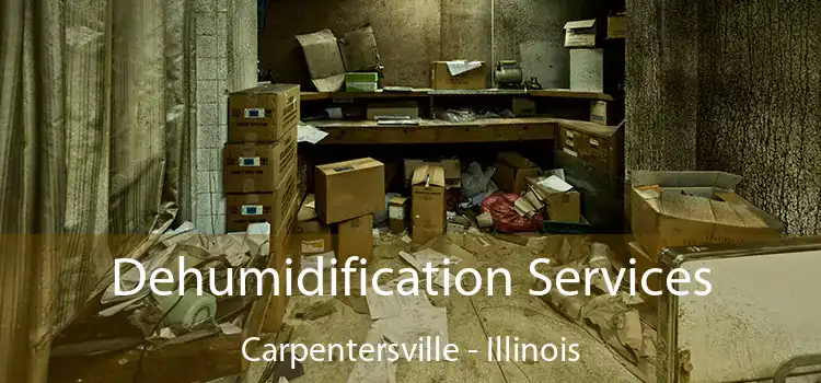 Dehumidification Services Carpentersville - Illinois