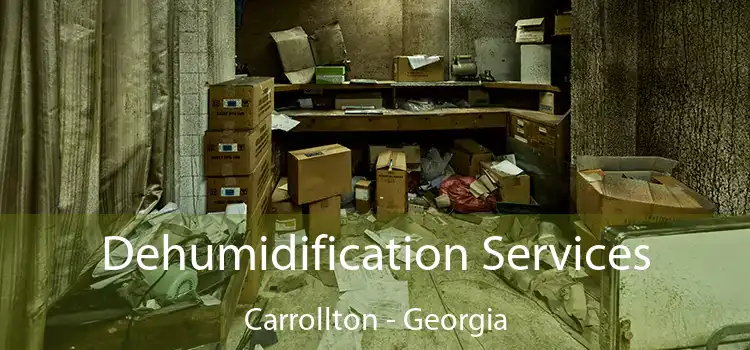 Dehumidification Services Carrollton - Georgia