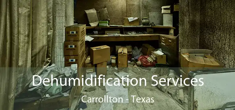 Dehumidification Services Carrollton - Texas