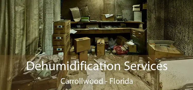 Dehumidification Services Carrollwood - Florida